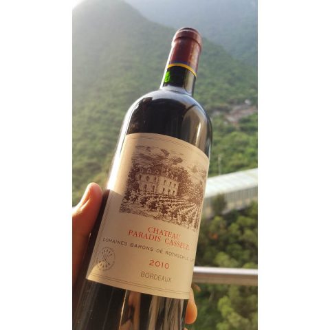 Chateau Paradis Casseuil